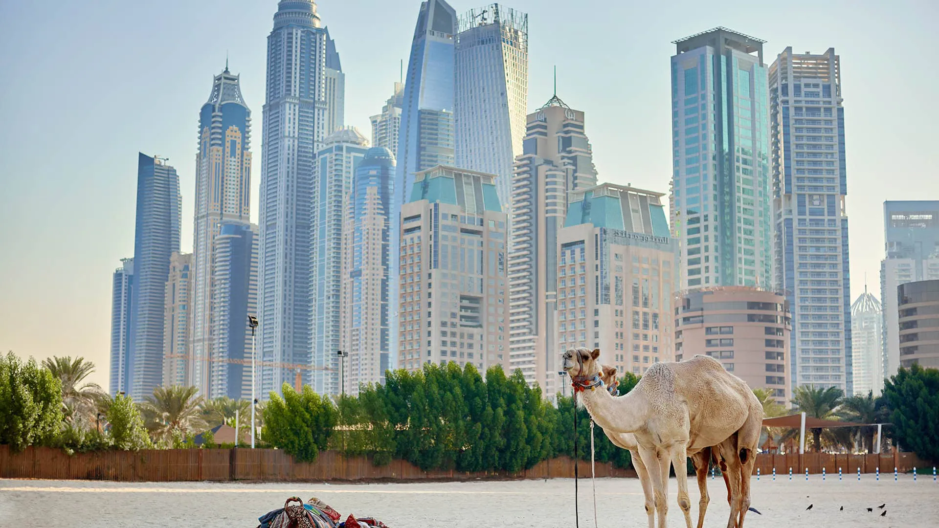 How to Buy Property in Dubai as a Foreigner