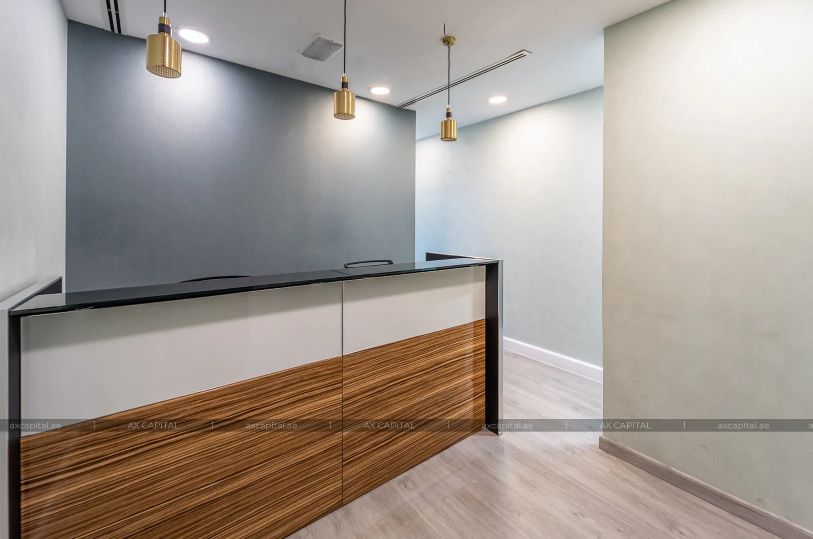 Propriété commerciale avec 0 chambres à coucher à Lake Central, Dubai, EAU (axc-3991348) 2