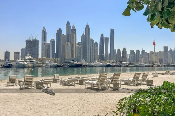 Apartments for rent in Palace Beach Residence, Dubai, UAE # axc-3989790 - photo 1268255