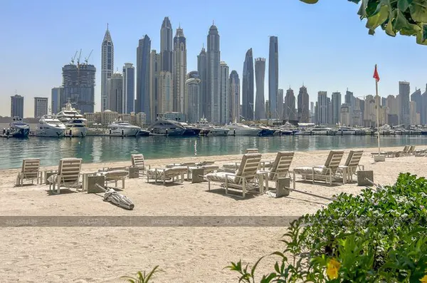 Apartments for rent in Palace Beach Residence, Dubai, UAE # axc-3989790 - photo 1125682